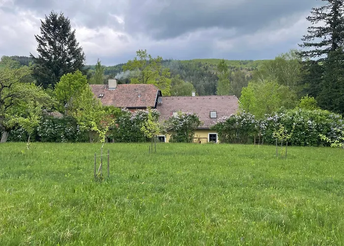 Im Gruenen Nah An Wien * Brettwies